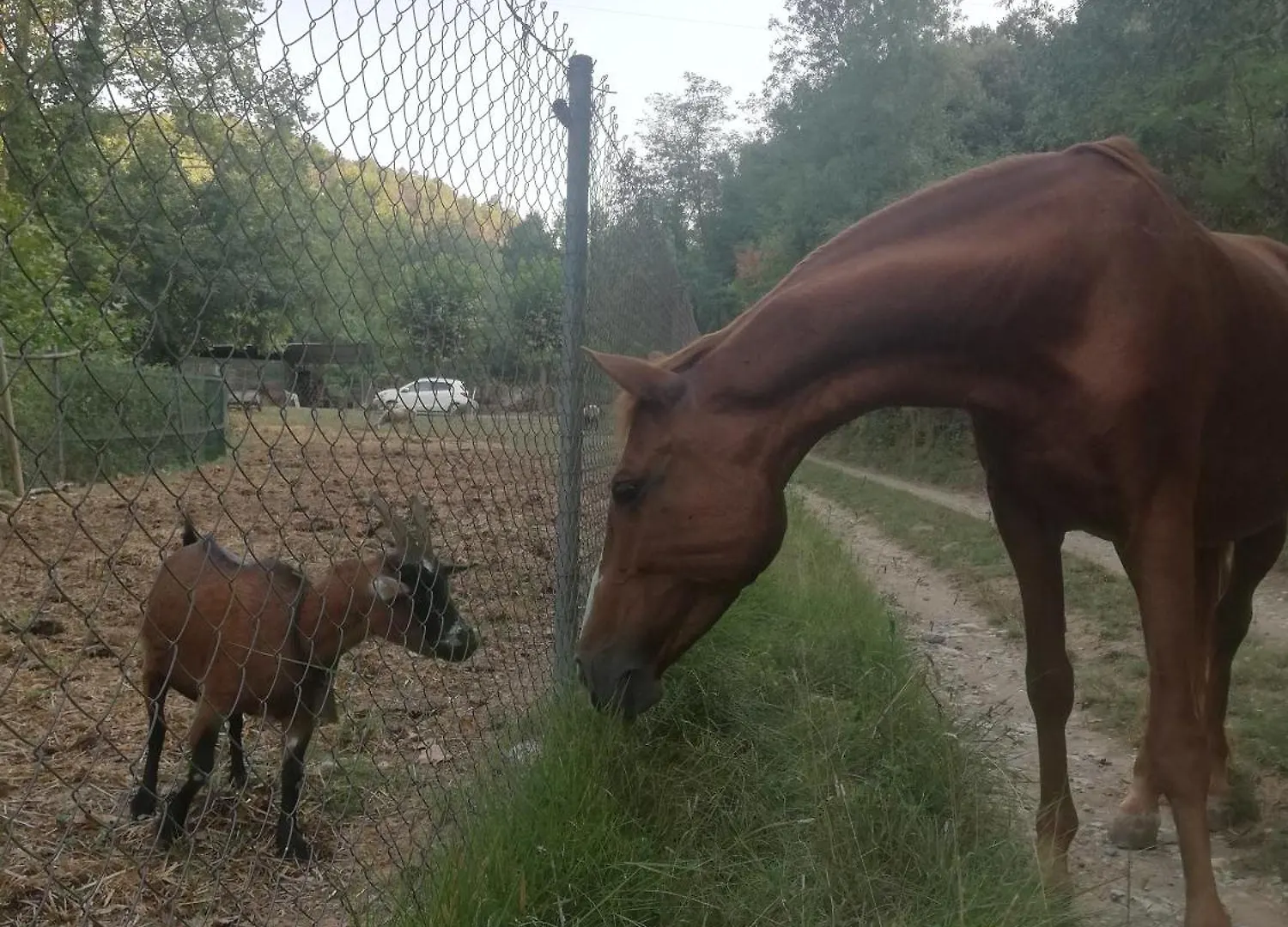 بيت للعطل Masia Con Encanto En El Bosque A 10 Min De Girona Celrá